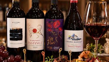 WINE TASTING & FOOD PAIRING