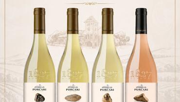 Exclusive Purcari Parcela Wine Tasting