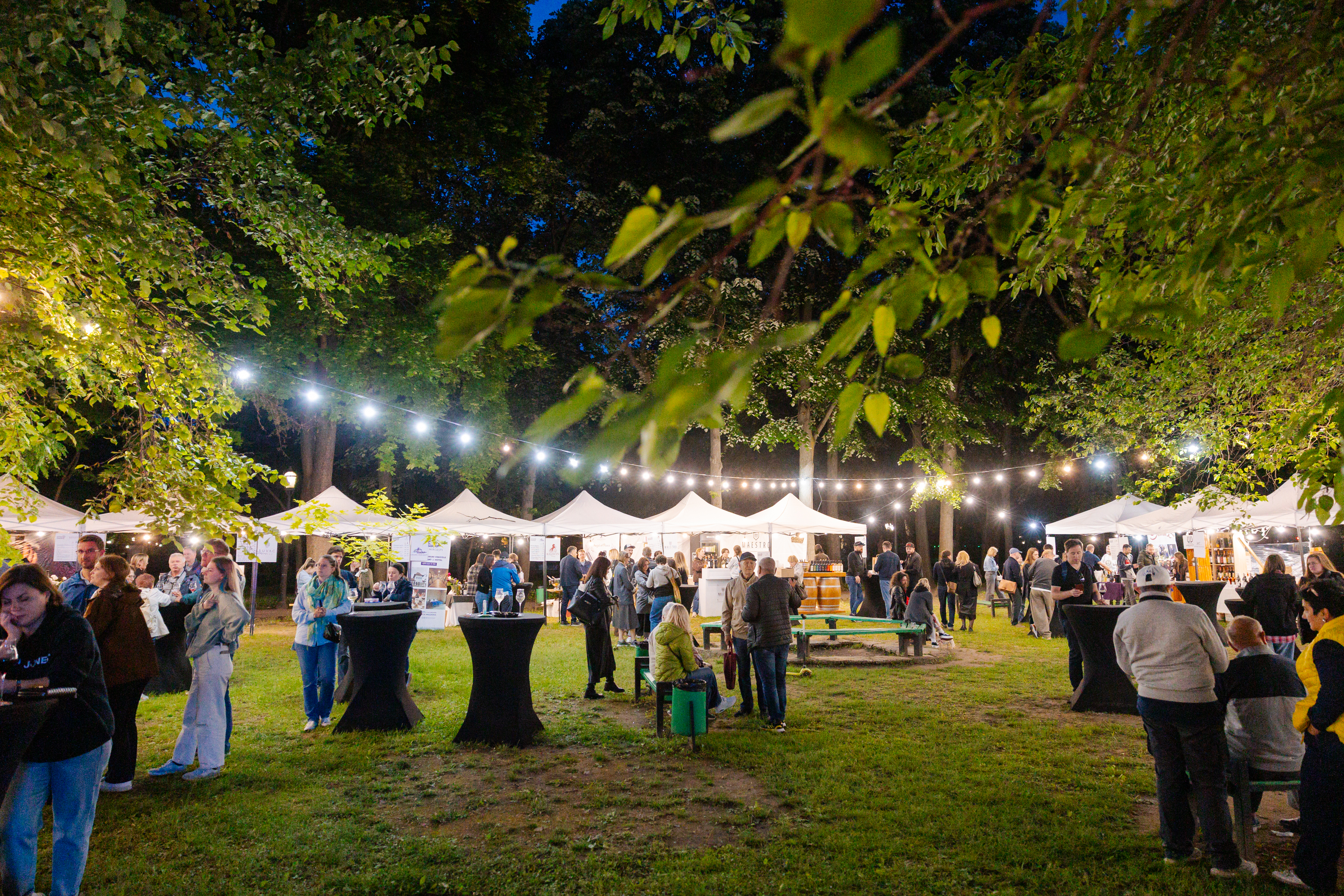 Wine Park Day 2 – The Festival at Its Peak