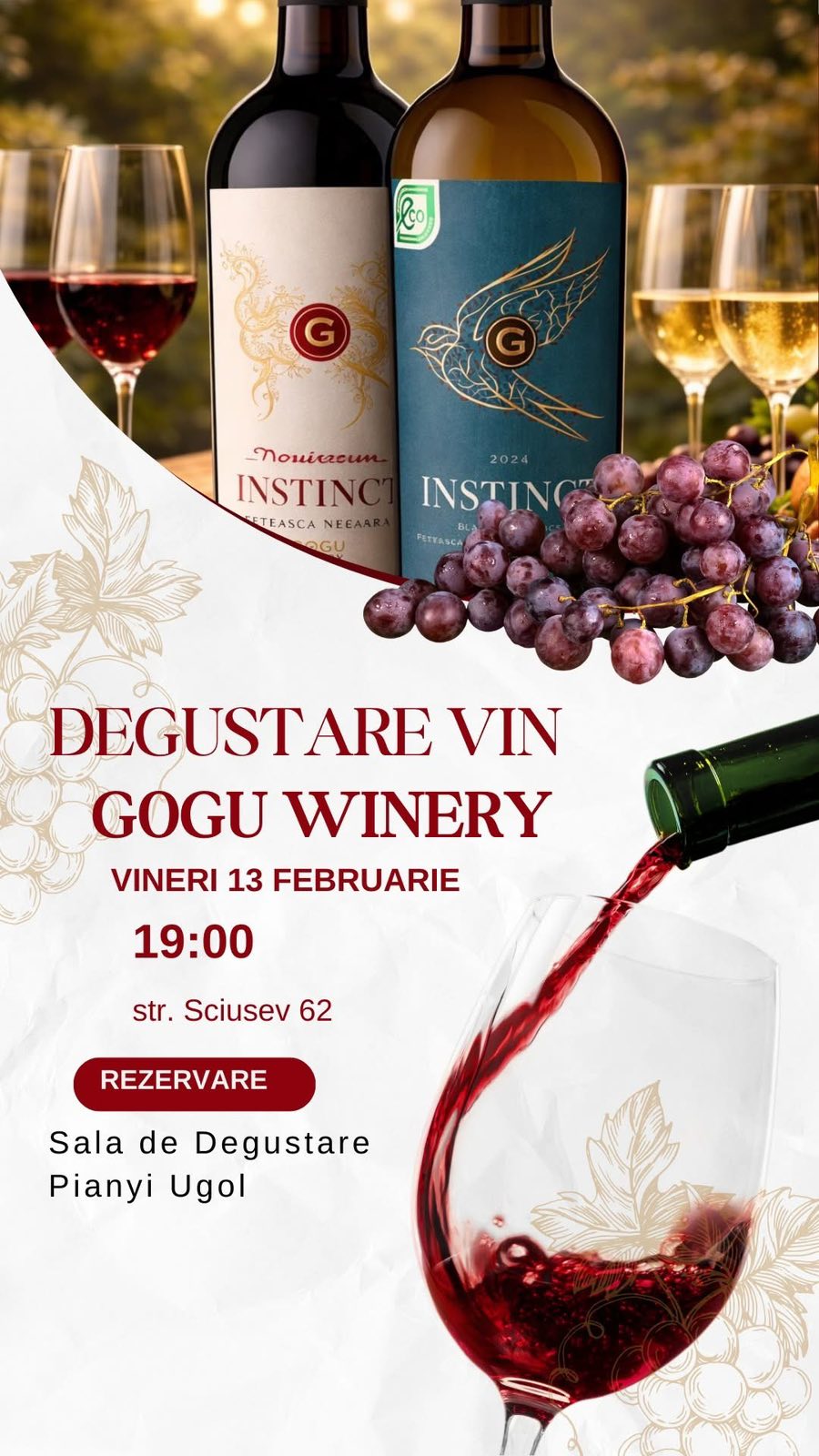 Wine Tasting Gogu Winery