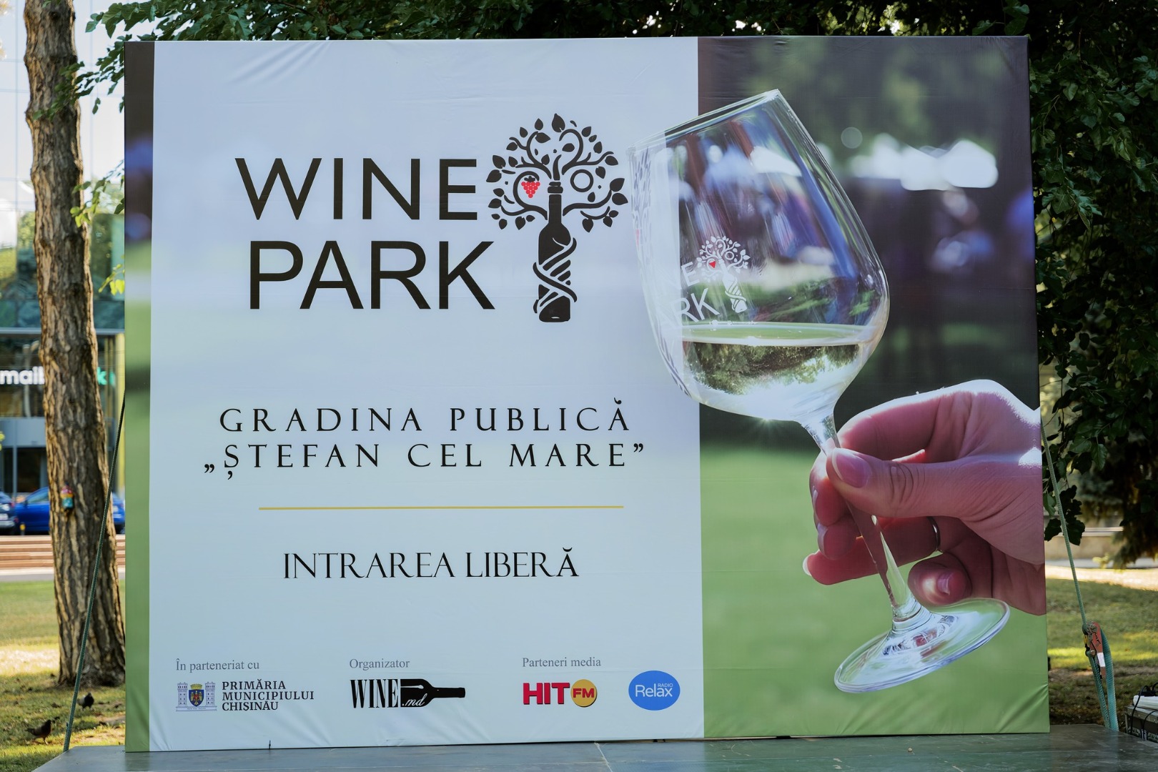Proper Wine Tasting: A Beginner’s Guide