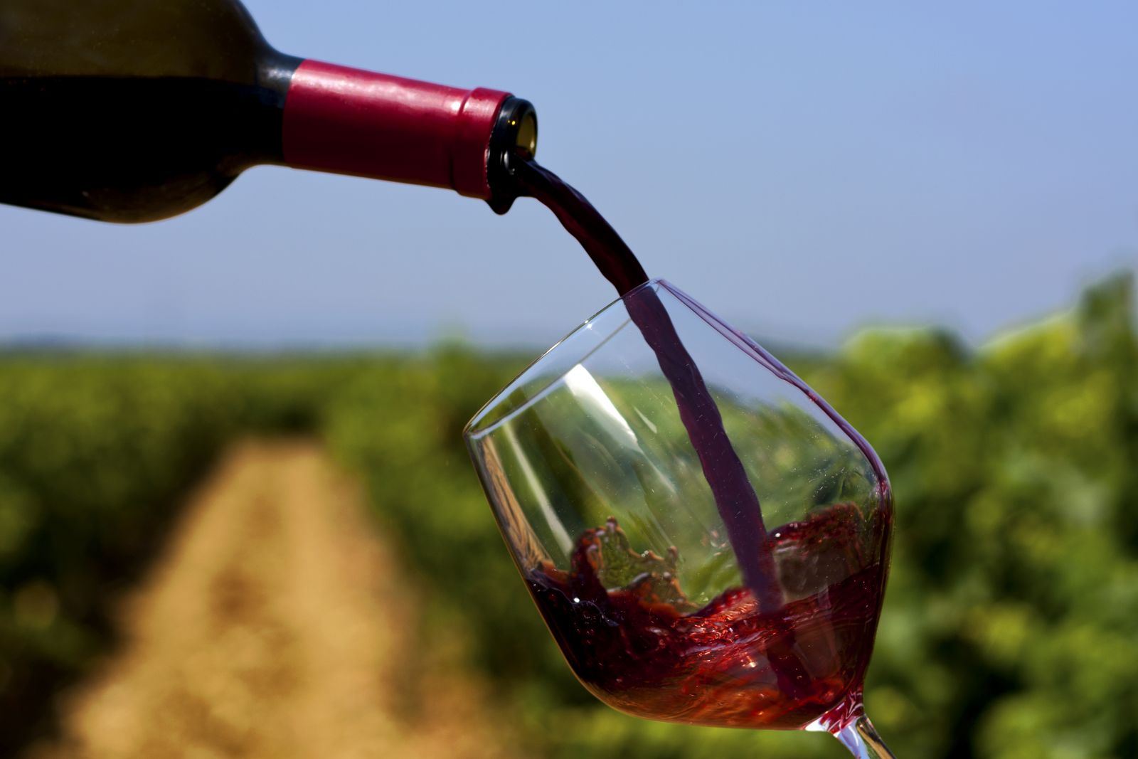 Când şi de ce se pune SARE în paharul de vin
