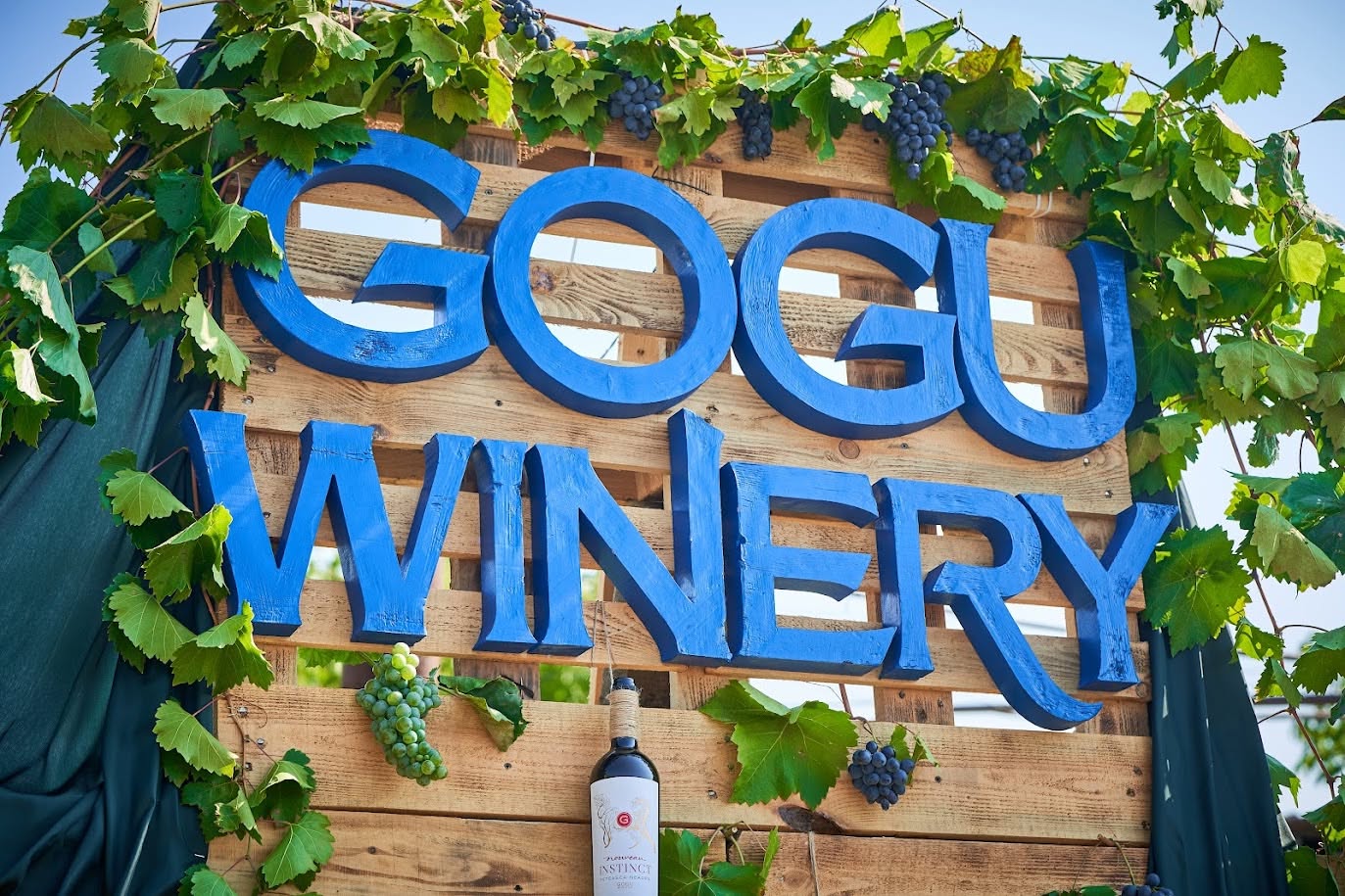 Gogu Winery - Excursion Booking