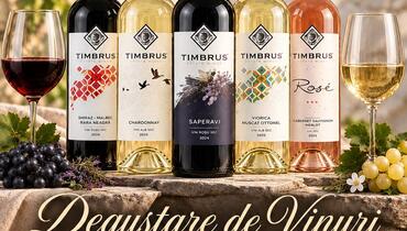 Дегустация вин Timbrus