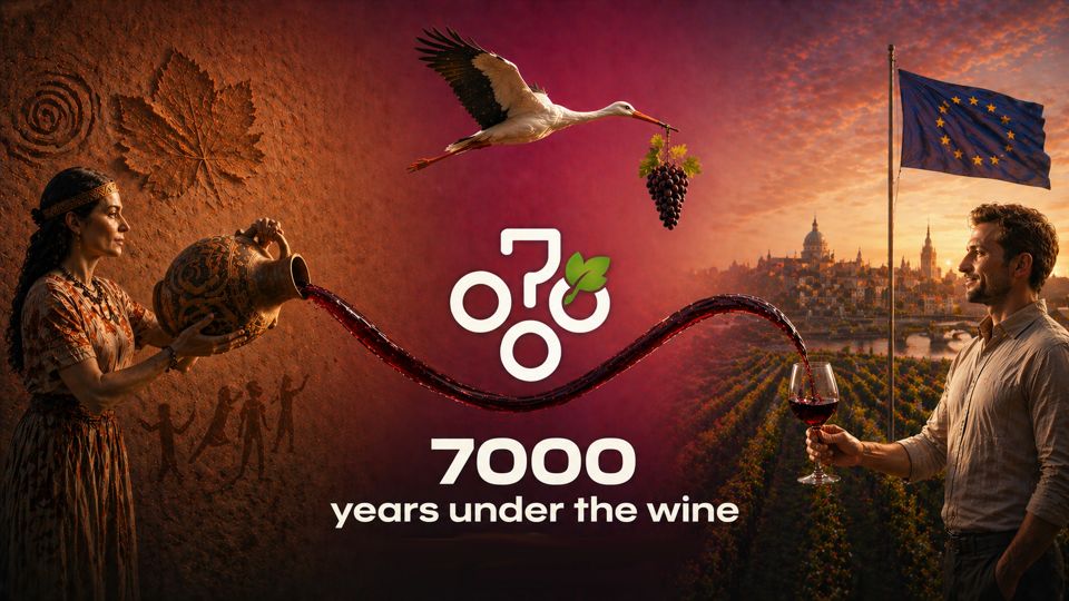 Знаете ли вы, что молдавское вино имеет историю, насчитывающую 7 000 лет?