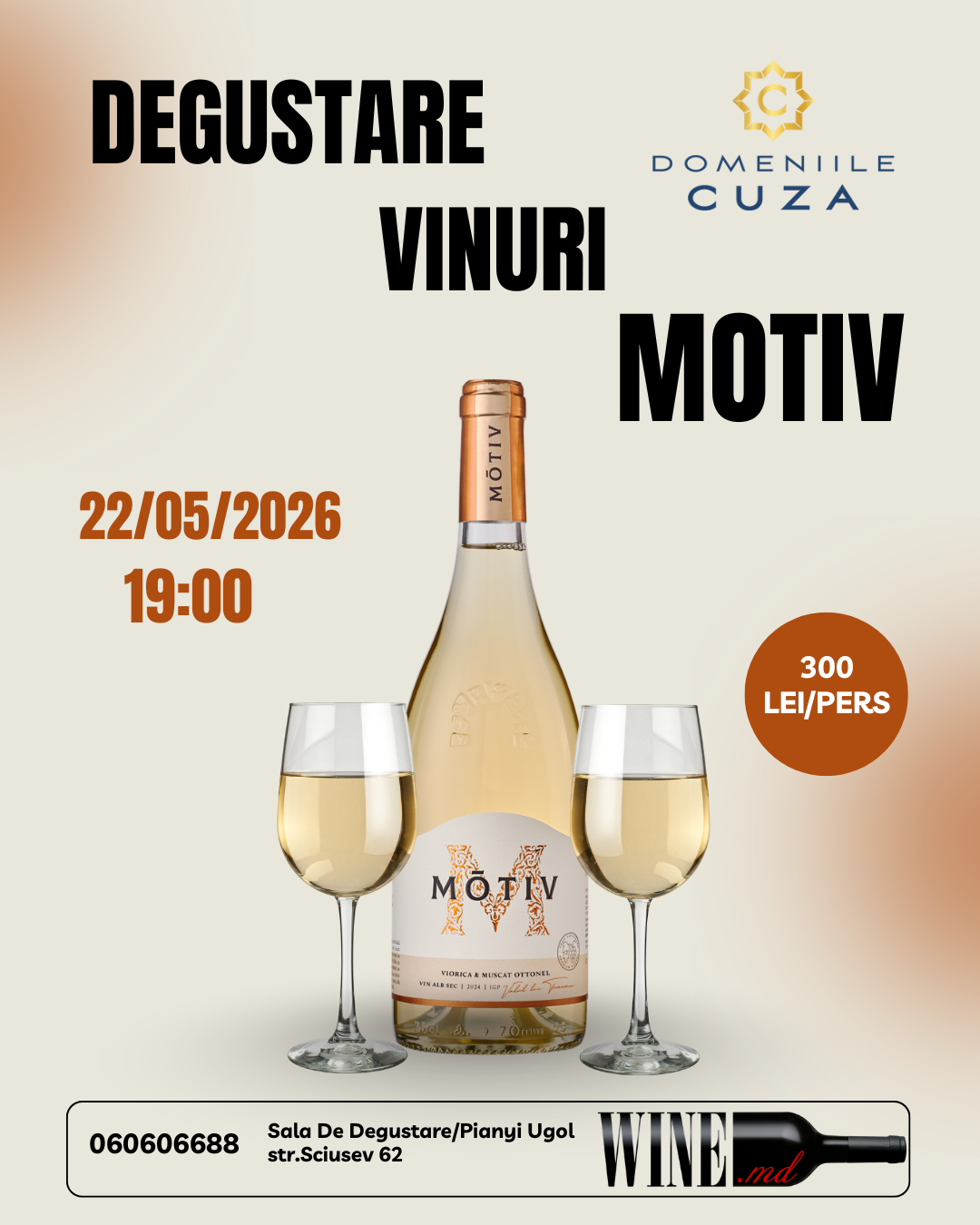 Дегустация Вин Motiv