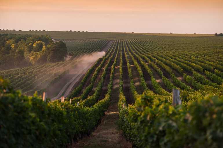 Tour Moldova Grand Wine Journey